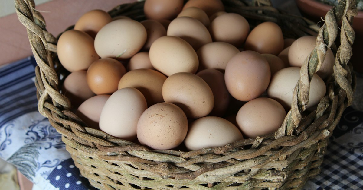 Les aliments qui abaissent les œstrogènes : mythe ou réalité
